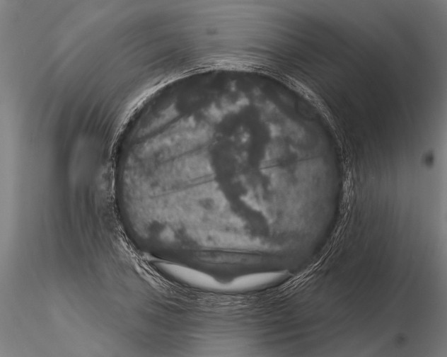 X0000115671027200912031351