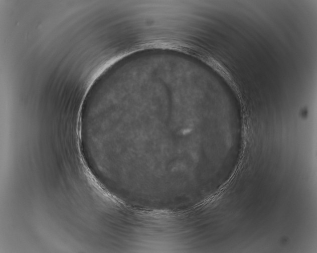 X0000115671028200912031351