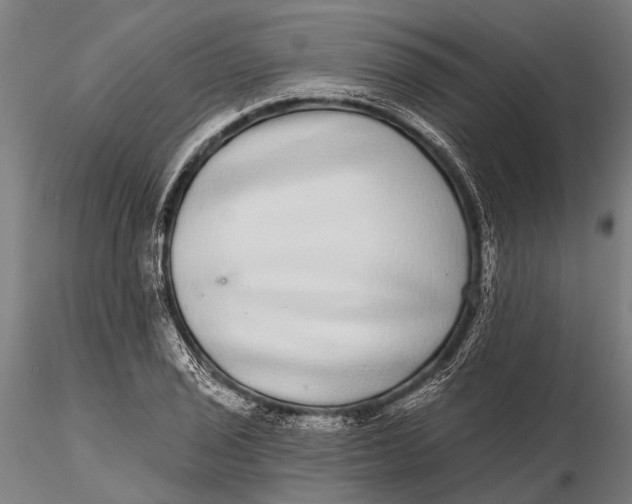 X0000115671029200912031351