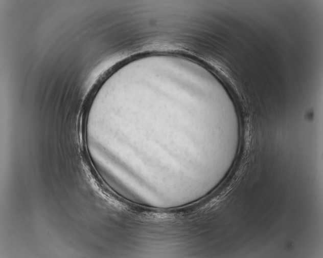 X0000115671030200912031351