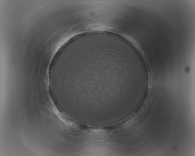 X0000115671031200912031351