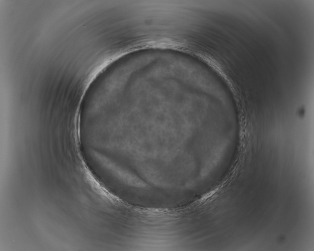 X0000115671032200912031351