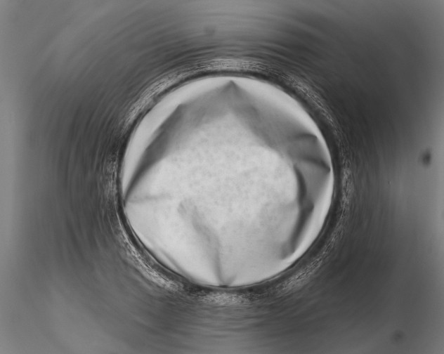 X0000115671033200912031351