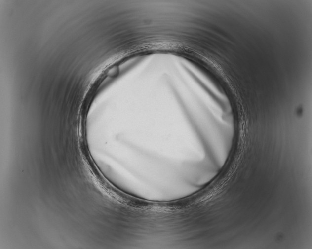 X0000115671034200912031351