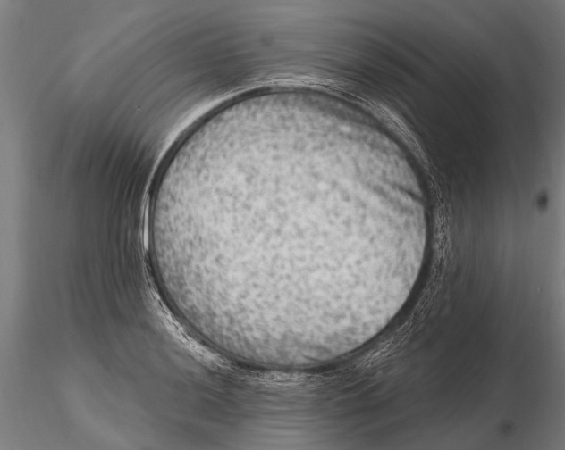 X0000115671036200912031351