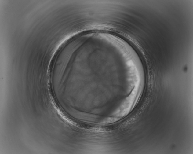 X0000115671037200912031351