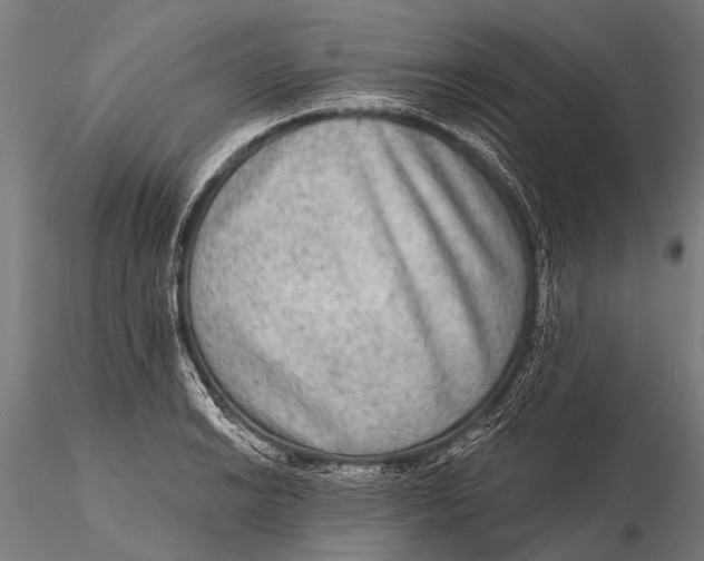 X0000115671038200912031351