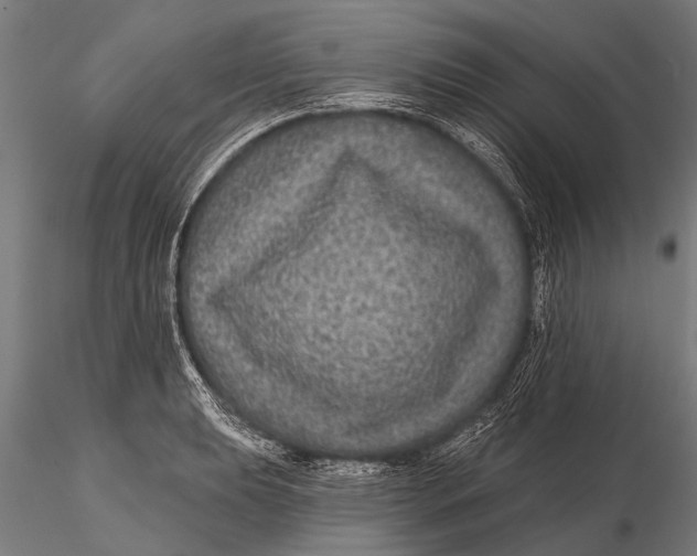 X0000115671039200912031351