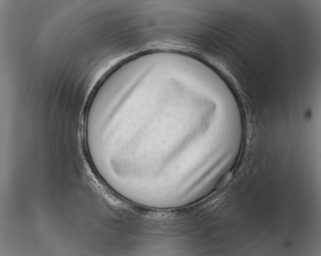 X0000115671040200912031351