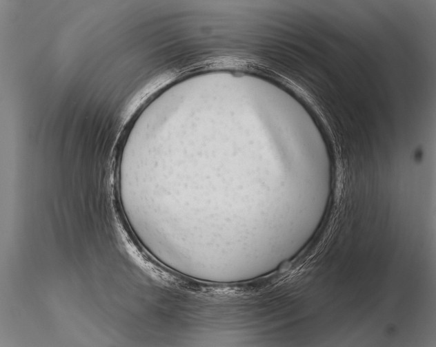 X0000115671042200912031351