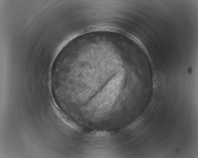 X0000115671043200912031351