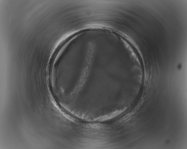 X0000115671045200912031351