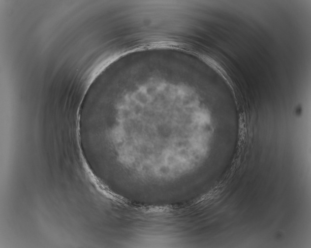 X0000115671047200912031351