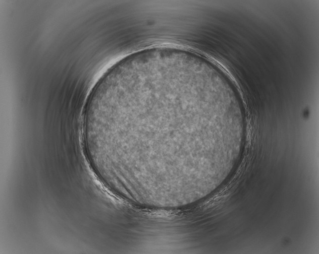 X0000115671048200912031351