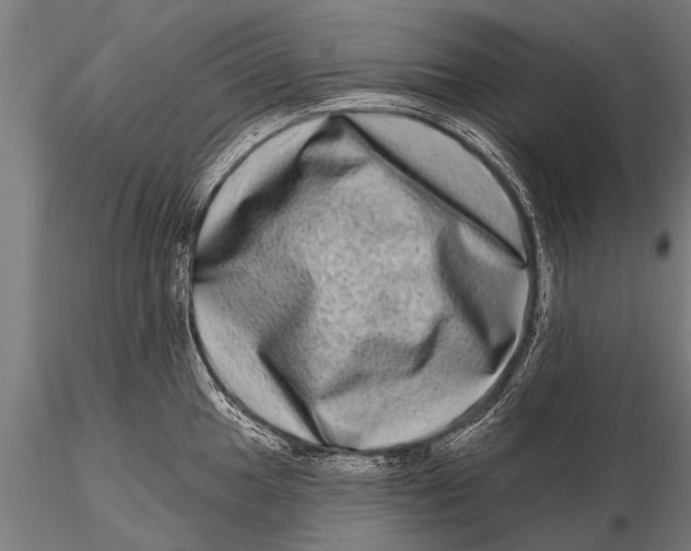 X0000115671049200912031351