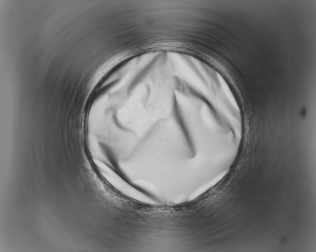 X0000115671050200912031351