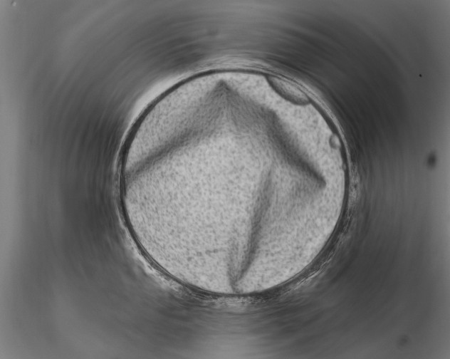 X0000115671053200912031351