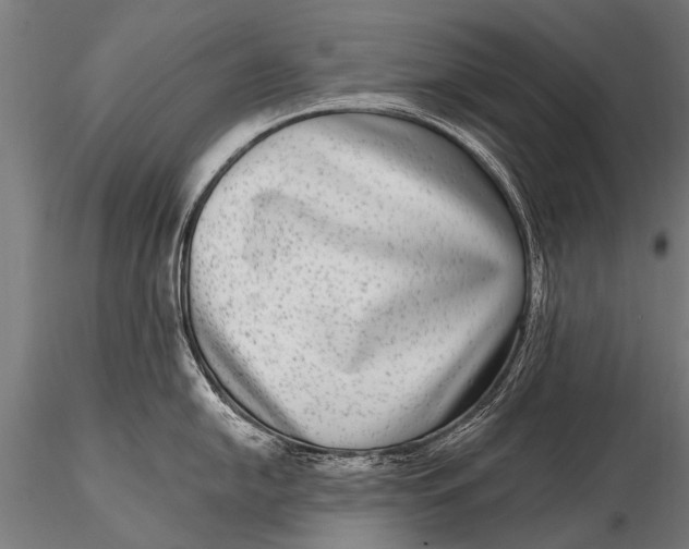 X0000115671054200912031351