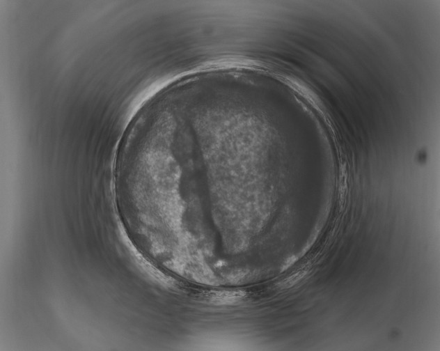 X0000115671055200912031351