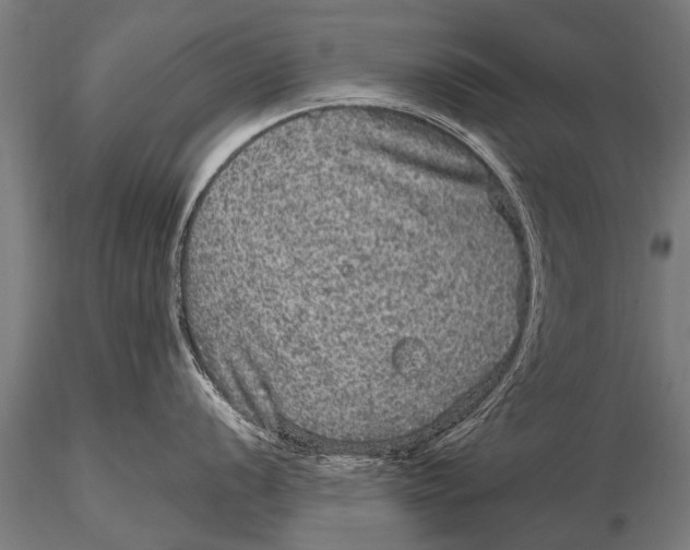 X0000115671056200912031351