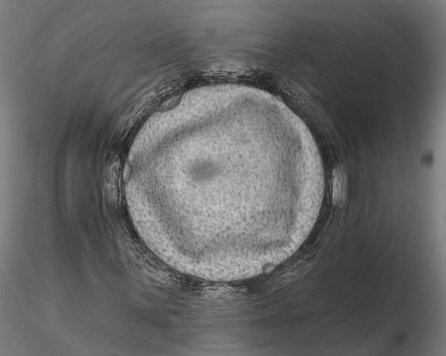 X0000115671059200912031351