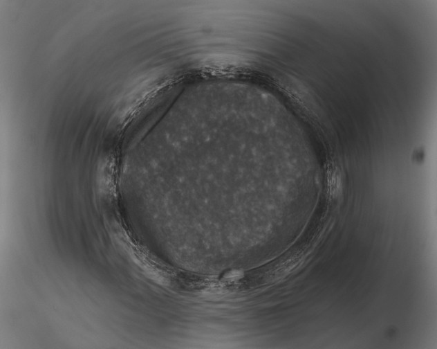 X0000115671060200912031351