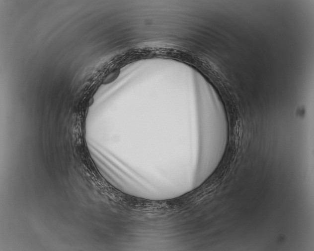 X0000115671062200912031351