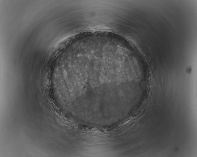 X0000115671063200912031351