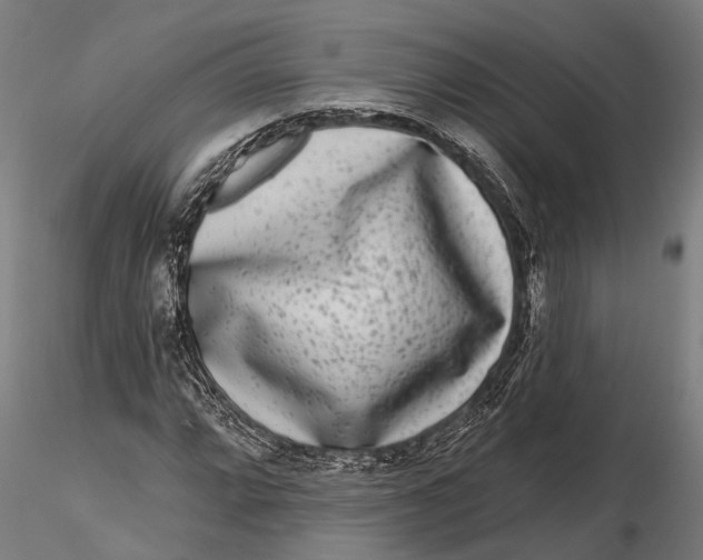 X0000115671064200912031351