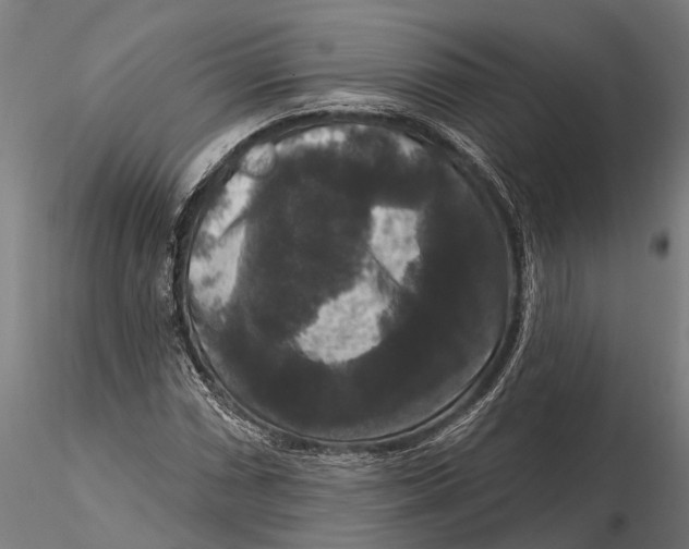 X0000115671066200912031351