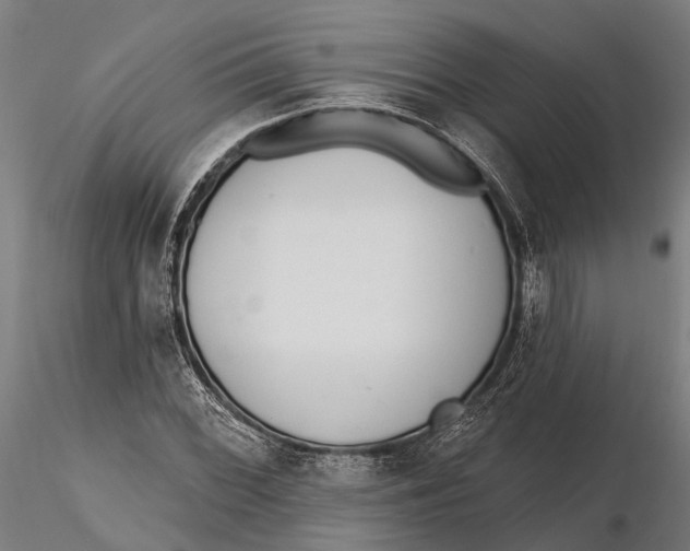 X0000115671068200912031351