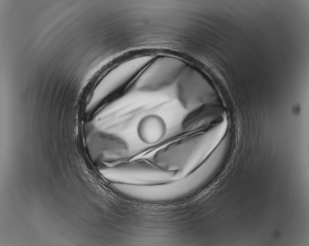 X0000115671069200912031351