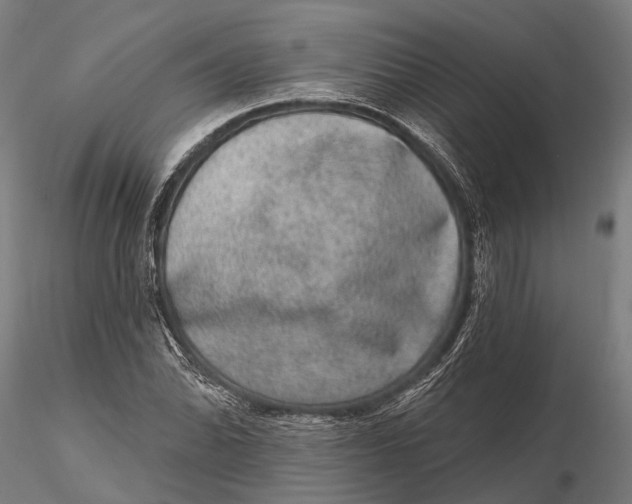 X0000115671070200912031351