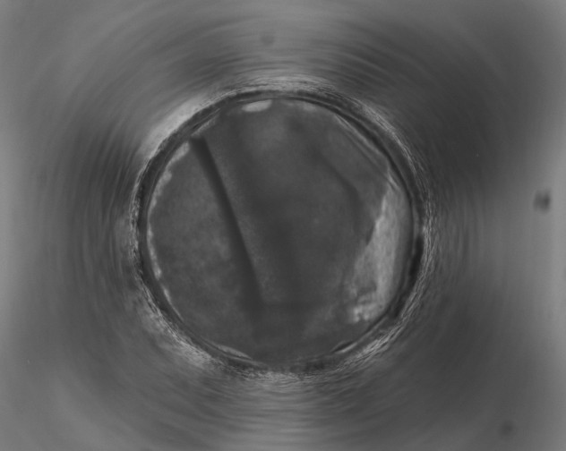 X0000115671071200912031351