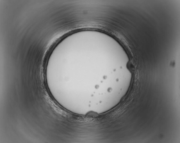 X0000115671072200912031351