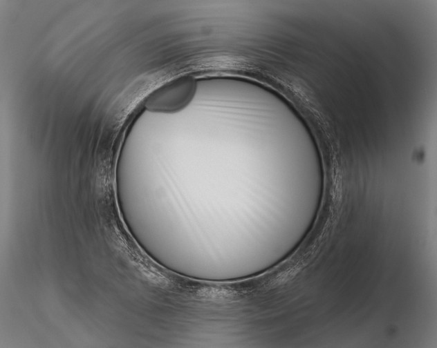 X0000115671073200912031351