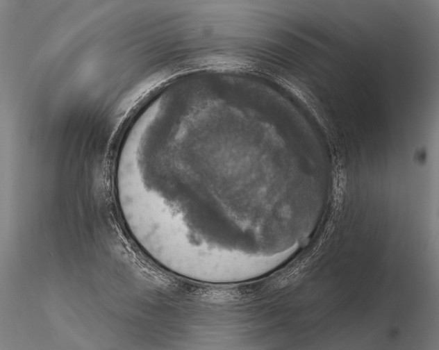 X0000115671074200912031351