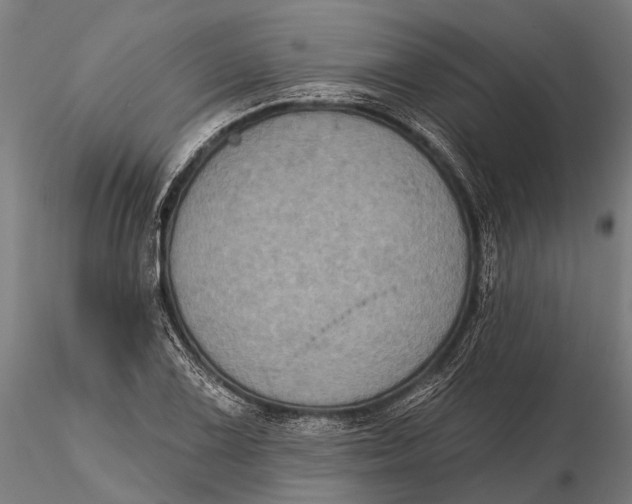 X0000115671075200912031351