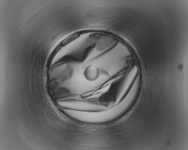 X0000115671077200912031350