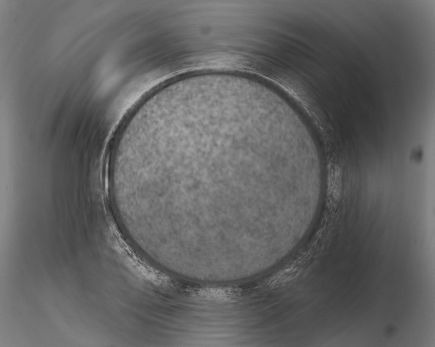 X0000115671078200912031350