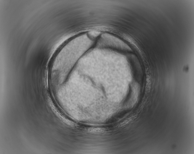 X0000115671079200912031350