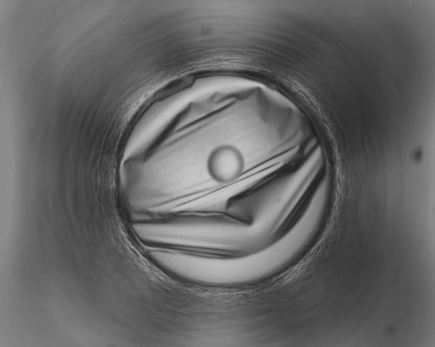 X0000115671081200912031350