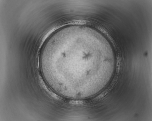 X0000115671083200912031350