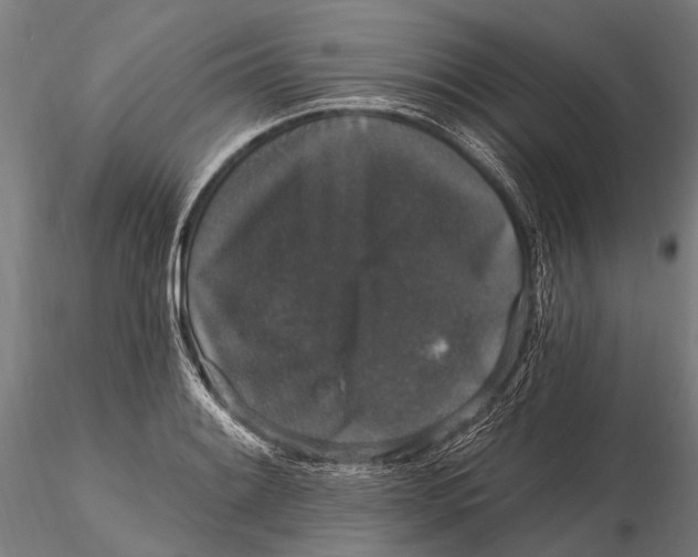 X0000115671084200912031350