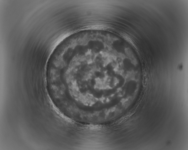 X0000115671087200912031350