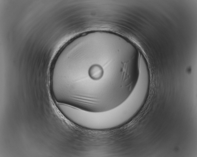 X0000115671088200912031350