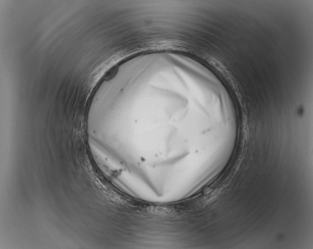 X0000115671089200912031350