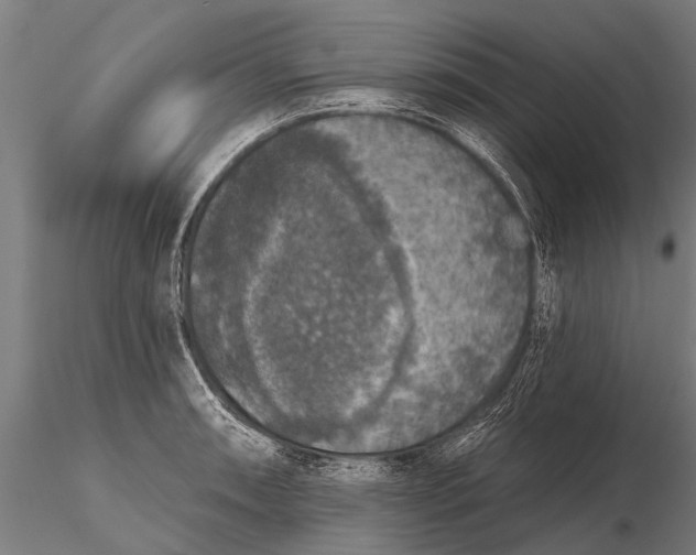 X0000115671090200912031350