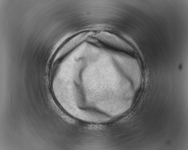 X0000115671091200912031350