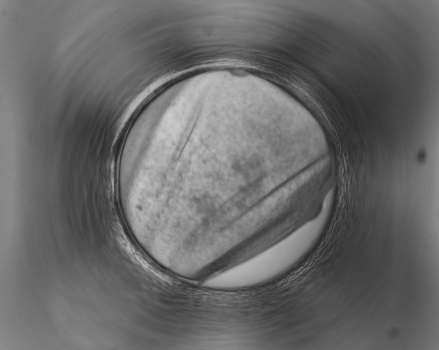 X0000115671092200912031350